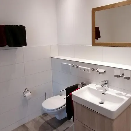 Jogis Friburgo em Brisgóvia