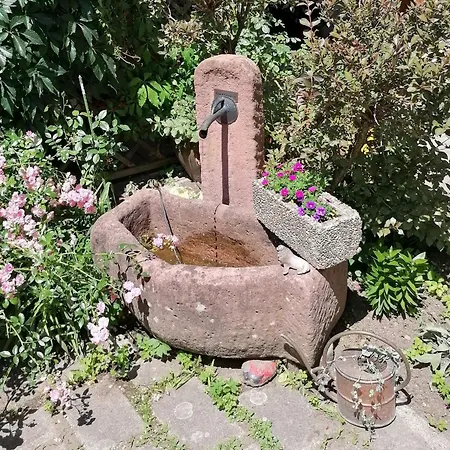 Appartement Jogis Fribourg im Breisgau