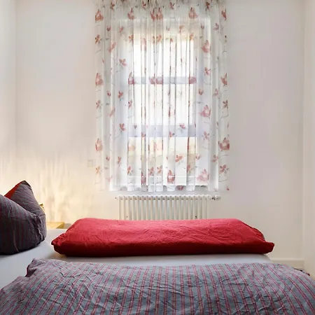 Jogis * Freiburg im Breisgau