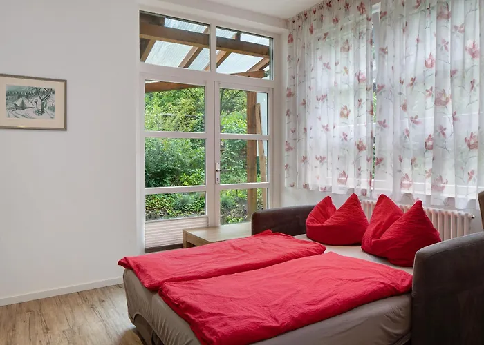 Jogis * فرايبورغ