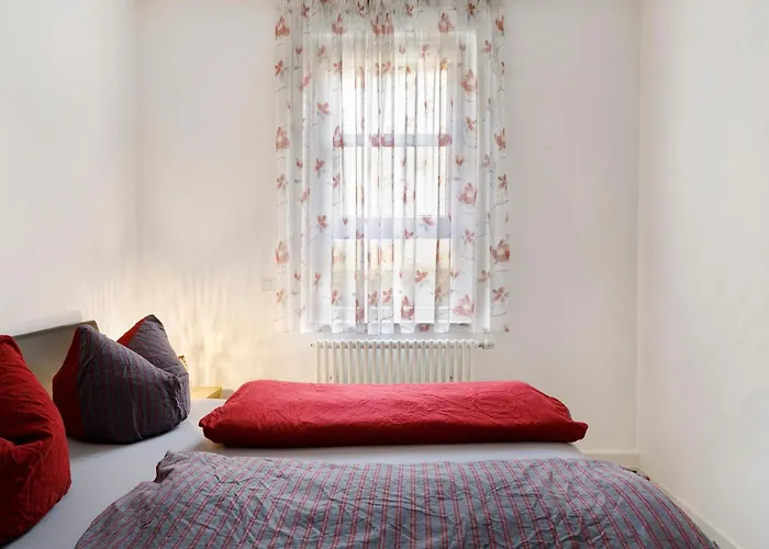 Jogis * פרייבורג